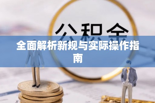 新市全面解析新规与实际操作指南