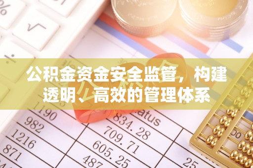 新市公积金资金安全监管，构建透明、高效的管理体系