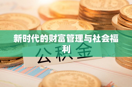 新市新时代的财富管理与社会福利