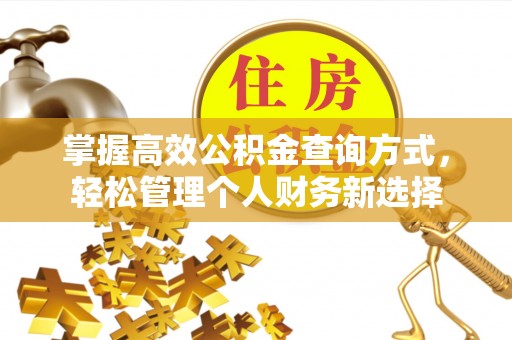 新市掌握高效公积金查询方式，轻松管理个人财务新选择