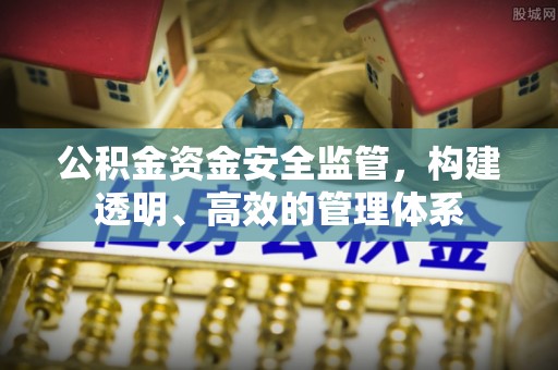 新市公积金资金安全监管，构建透明、高效的管理体系