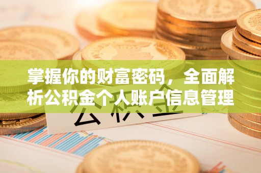 新市掌握你的财富密码，全面解析公积金个人账户信息管理与优化