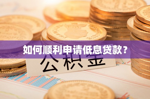 新市如何顺利申请低息贷款？