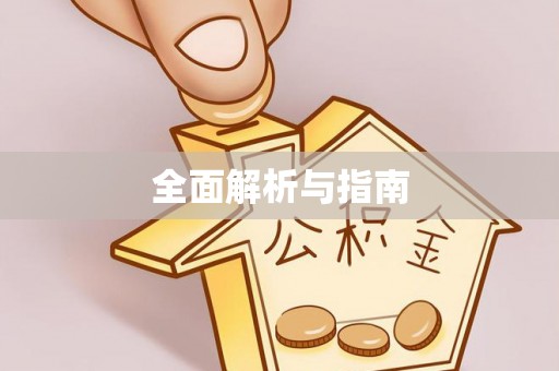 新市全面解析与指南