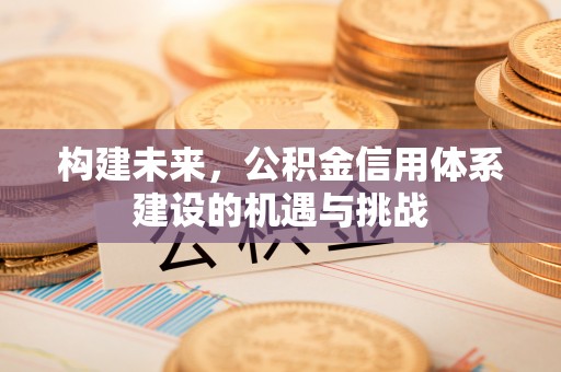 新市构建未来，公积金信用体系建设的机遇与挑战