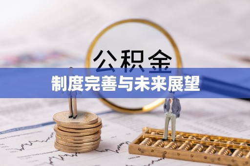 新市制度完善与未来展望