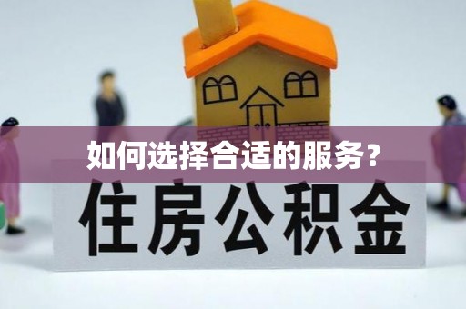 新市如何选择合适的服务？