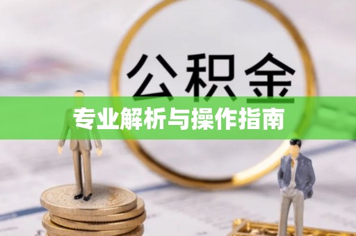 新市专业解析与操作指南